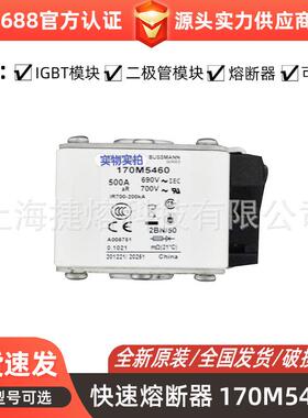 170M5460 170M5462 快速熔断器 保险丝 电子元器件 量大价优
