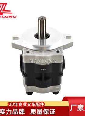 适用海迈克叉车配件液压泵10TDSG05A18F2H1-R387D