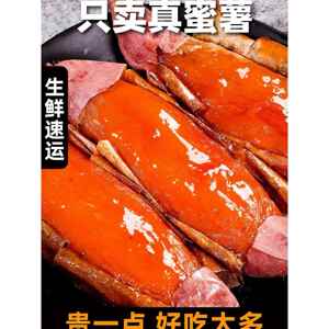 山东糖心蜜薯25号红心烤红薯新鲜烟薯地瓜超甜番薯农家自种井禾村
