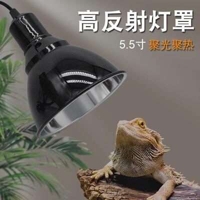 爬宠灯罩爬虫加热灯uva灯泡聚热反射鬃狮陆龟uvb灯陶瓷灯晒背保暖