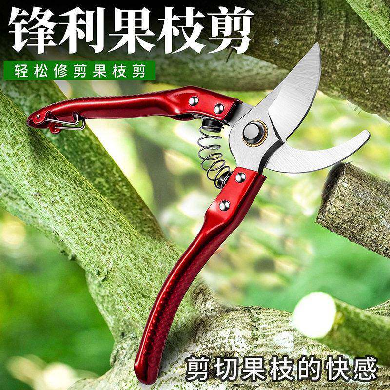 园艺剪刀修枝剪果树果枝剪SK5大口径强力树枝剪花艺摘果剪子图片