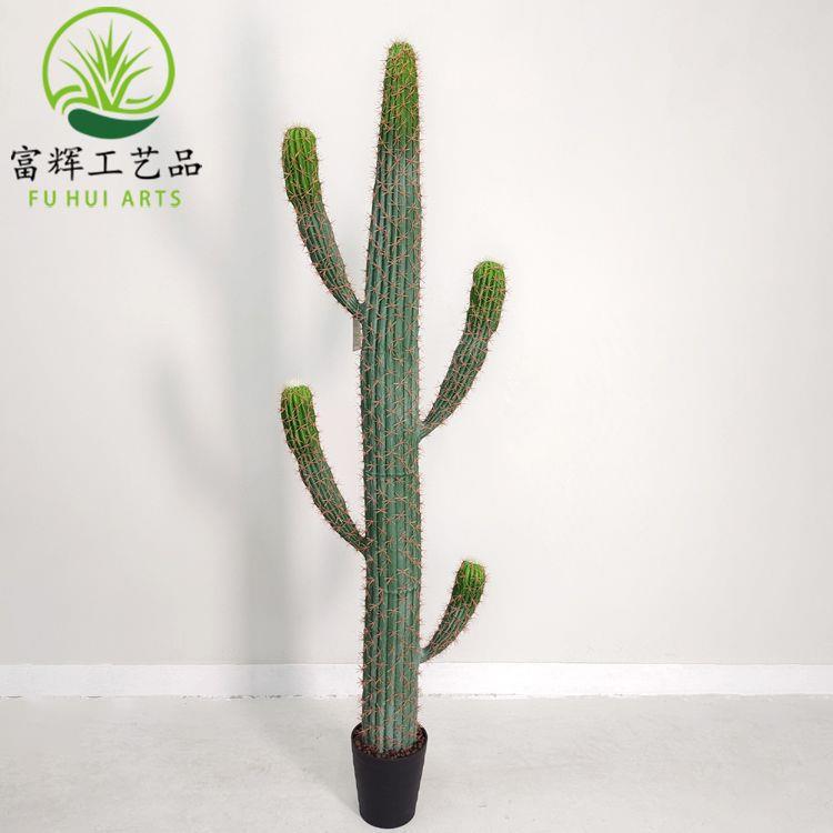 源头厂家直供仿真软胶仙人掌安全环保 触感柔软 家居商业装饰