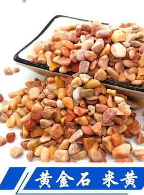 现石货黄色水洗石彩色水磨石子638透水路面胶石粘米黄色石子