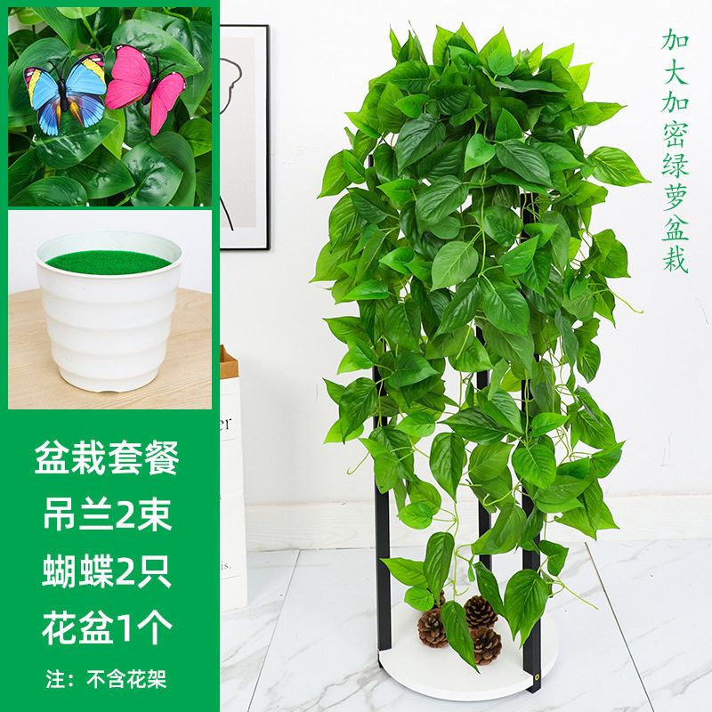 花垂仿真植物盆栽藤蔓仿真绿植图片