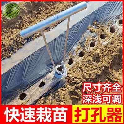 栽苗神器农用地膜打孔器移苗器栽苗打孔器移栽机西瓜打孔打坑工具