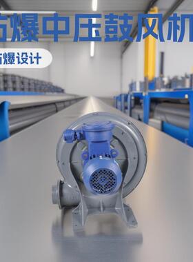 --FX-1/2 0.37KW 7m³/MIN 1.1KPA 防爆中压鼓风机 吹吸两用