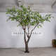 仿真枫树定制盆栽大型景观树户外盆景树批发假绿植定做枫杨树摆件