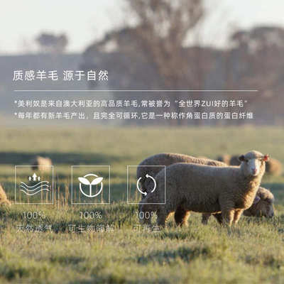 羊毛1*1罗纹面料 腈纶羊绒RAC美丽奴绵羊毛混纺打底1x1坑条罗纹布