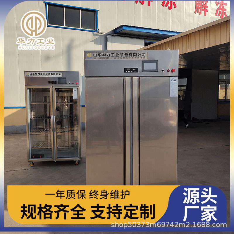 单门双门立式解冻柜整鸡解冻设备海鲜冰盘缓化机巴西牛肉解冻机