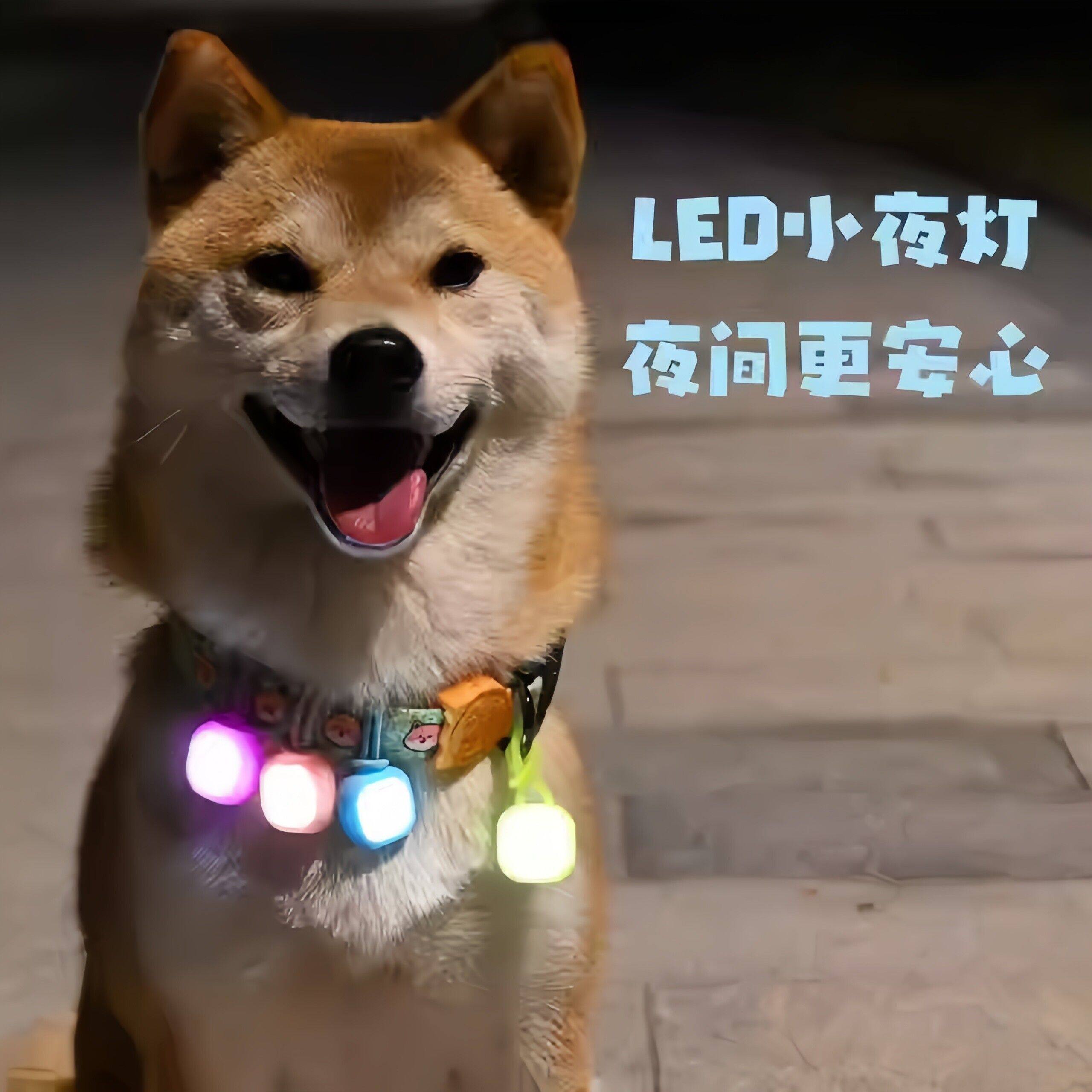 狗狗夜间出行防走失遛狗神器发光吊坠闪光吊坠宠物配饰吊牌夜光灯