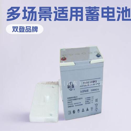 双登蓄电池6-GFM-65技术参数12V60AH照明机房船舶电力电厂UPS/EPS