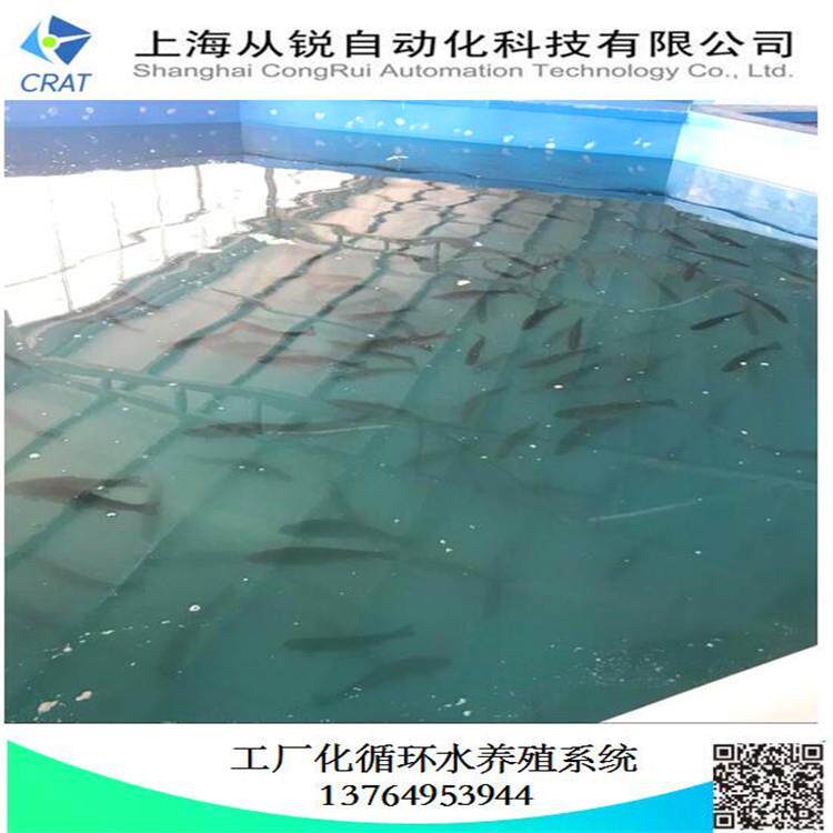 上海从锐200㎡工厂化三文鱼养殖设备/工厂化大西洋鲑鱼养殖系统