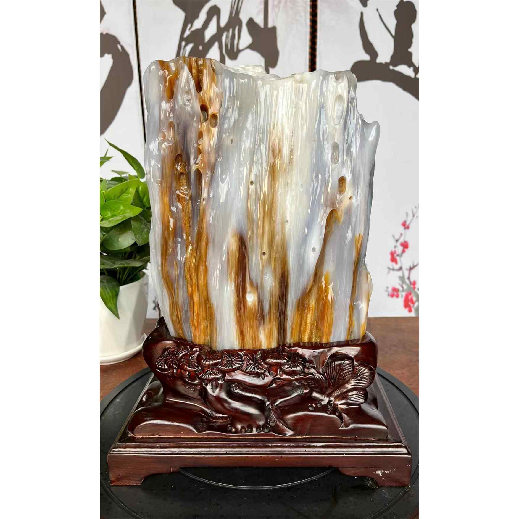 GJU8缅甸树化玉奇石家居装饰品观赏石木化玉风水石头摆件日常hcds