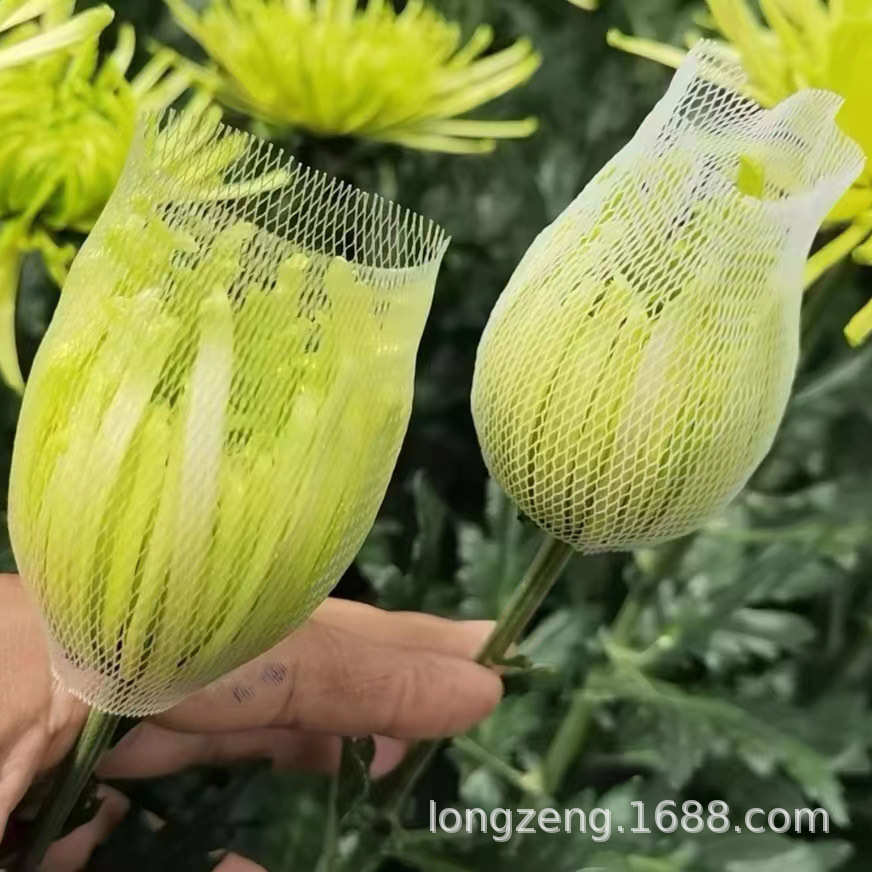 厂家直销大骨朵牡丹菊保护网套波斯菊网套 乒乓菊套袋网鲜切花物