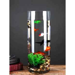 超白加厚圆柱鱼缸直筒透明玻璃金鱼缸客厅大号落地水培圆形乌龟缸