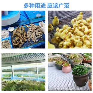 厂家直销PP塑料板冲孔网圆孔过滤洞洞板打孔板防腐蚀耐高温疏通