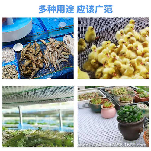 打孔冲板厂家直销板过滤塑料板pp疏通网圆孔耐高温孔洞洞防腐蚀