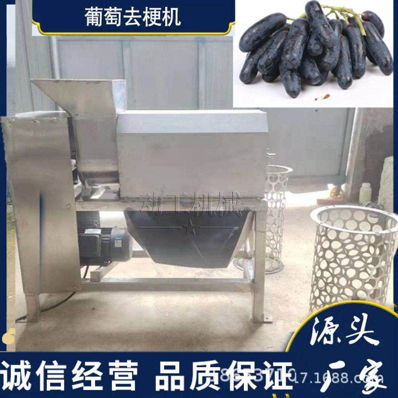 多种类葡萄去梗破碎机酿酒厂专用机器大型商用桑葚摘梗机
