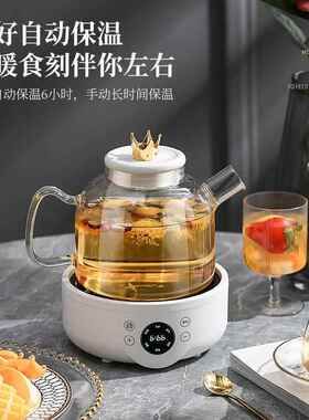 110V美规多功能煮茶器玻璃养生壶办公室全自动花茶壶家用煎药壶