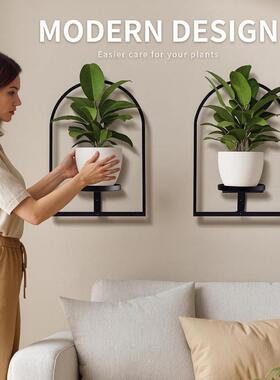 跨境相框墙壁植物支架室内悬挂花盆架现代金属壁挂式植物架装饰