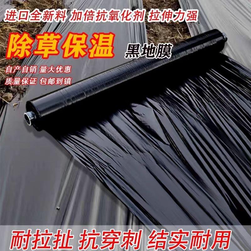 农用黑色地膜蔬菜保温保湿大棚薄膜加厚种植果树除草布果园塑胶布
