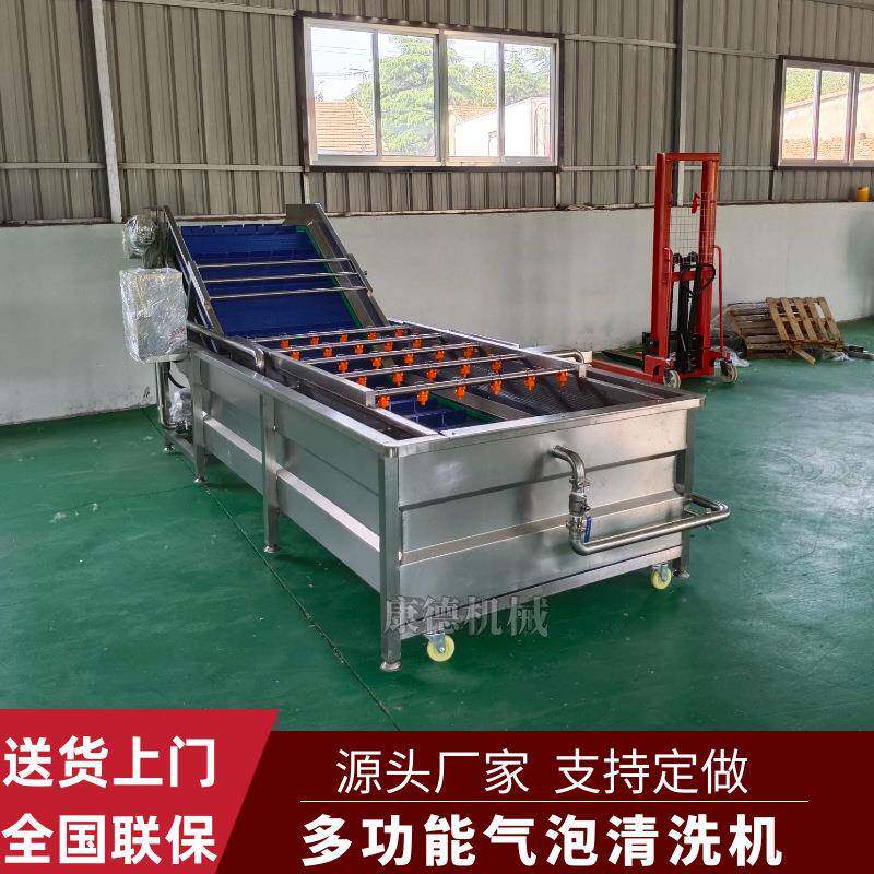 水果干杏干气泡清洗机自动出料樱桃清洗设备深加工草莓清洗机