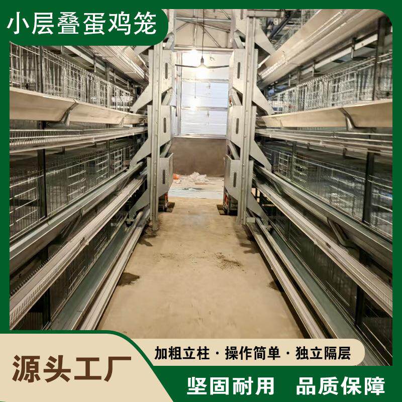 小层蛋鸡笼捡蛋机鸡笼层叠自动化蛋鸡养殖设备固定式升降式捡蛋机