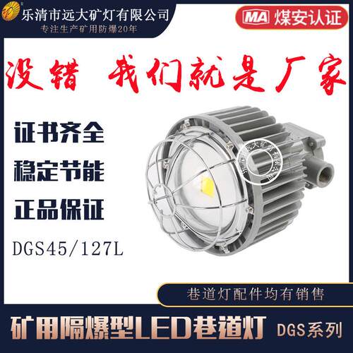 厂家生产矿用LED巷道灯DGS48/127L(B) 矿用隔爆型巷道灯48W127V