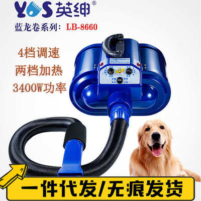 英绅双马达宠物吹水机 大功率调节风力噪音小可挂墙上LB-8660代发
