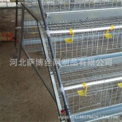 昆山养鸡场专用养鸡笼家用养鸡笼嘉定镀锌养鸡笼