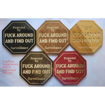 庭院警示地插恶搞装饰Protected By Fuck Yard Surveillance Sign