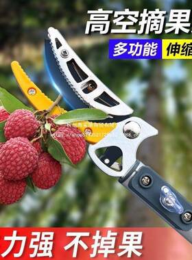 高空采摘新款果子枝高杨伸缩剪摘摘果杷梅龙眼WJL摘果器枇荔枝