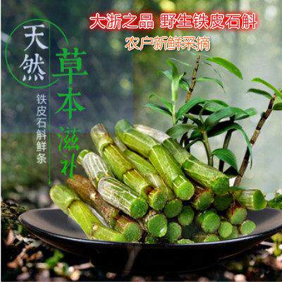 浙江天台山铁皮石斛鲜条三年铁皮石斛500g新鲜铁皮滋补枫斗