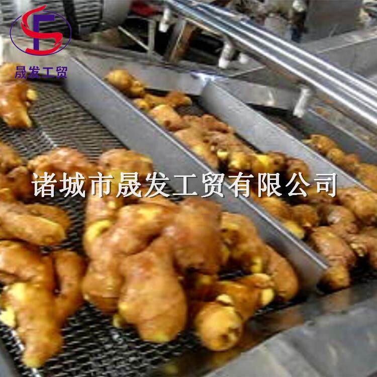 晟发牌大姜鲜姜清洗机 生姜加工清洗设备 全自动高压喷淋清洗机