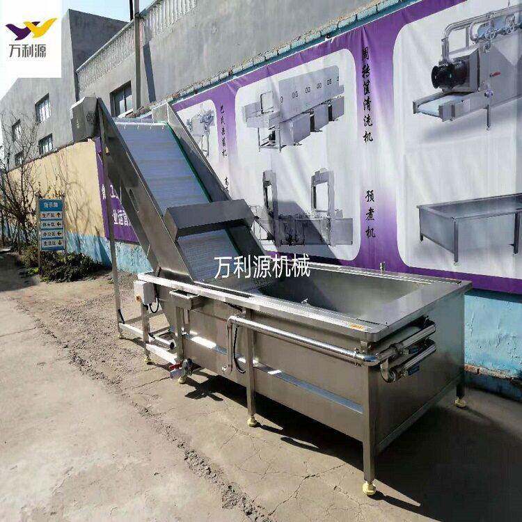 全自动涡流去杂清洗机水循环果蔬气泡清洗设备藕片清洗机