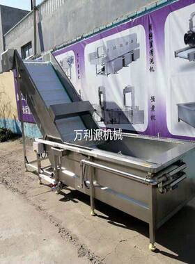 万利源全自动涡流去杂清洗机水循环果蔬气泡清洗设备藕片清洗机