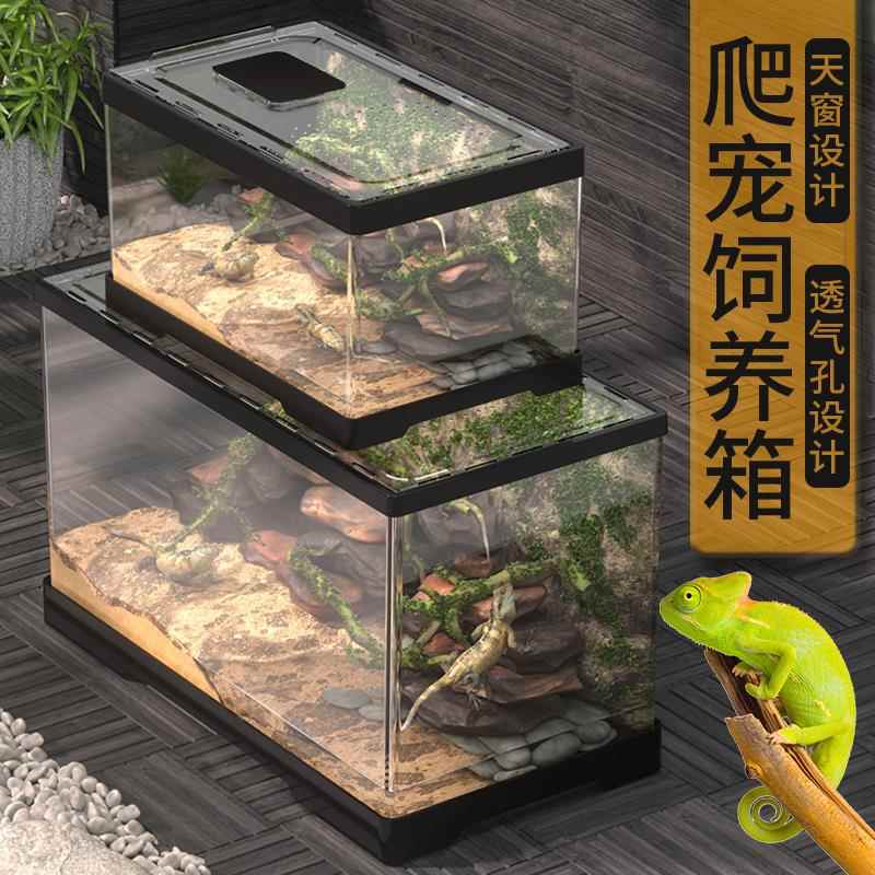 爬宠亚克力透明饲养盒守宫蜥蜴角蛙蛇塑料超大爬虫寄居蟹乌龟缸