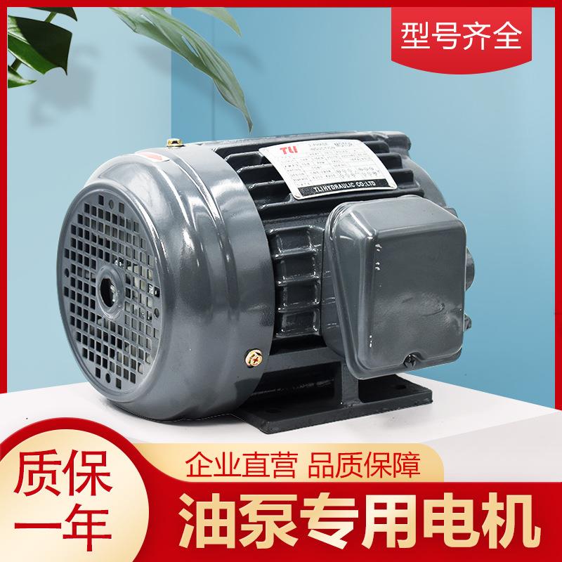 液压站专用直插式内轴电机4P 380V三相异步电机台式液压油泵图片