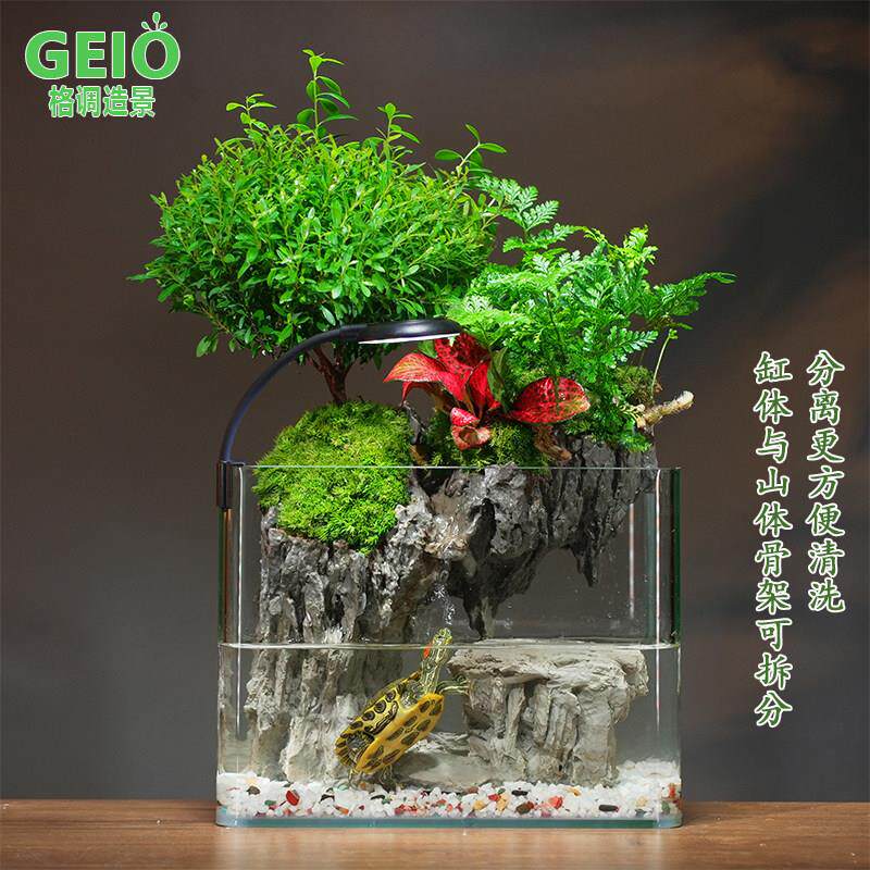成品微景观生态鱼缸苔藓真绿植物造景桌面小型过滤循环客厅水陆缸
