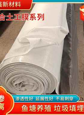 复土工膜布一膜两河道治理防合渗土工膜QTX蓄水池部防渗底复合土