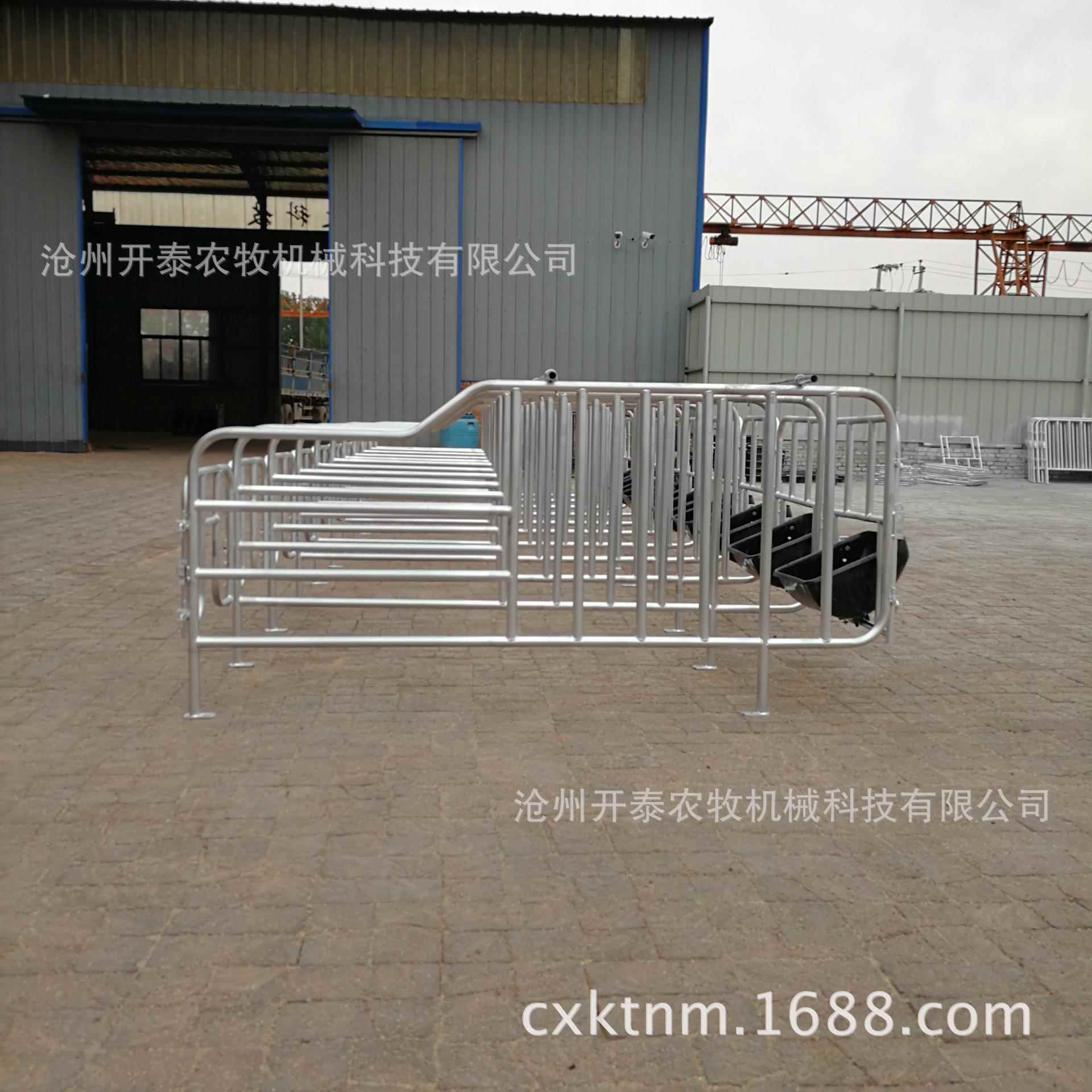母猪定位栏猪加用重加牧厚VBK位栏限畜养殖设备母猪定位栏
