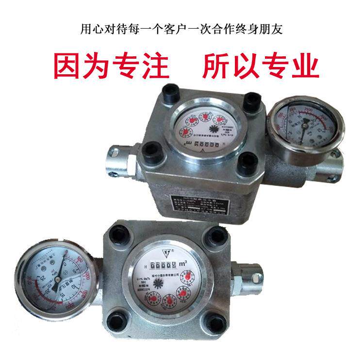 直供SGS矿用高压水表 立式小型专用设备厂家加工配件仪表流量仪