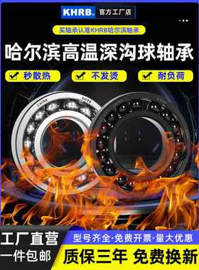 赫伯耐高温轴承600度300度6222 6224 6236 6228 6230 6232 6234