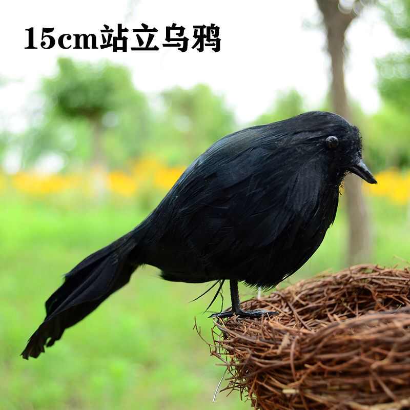 仿真乌鸦羽毛模型展翅cos道具拍摄表演道具生日礼装饰摆件工艺品