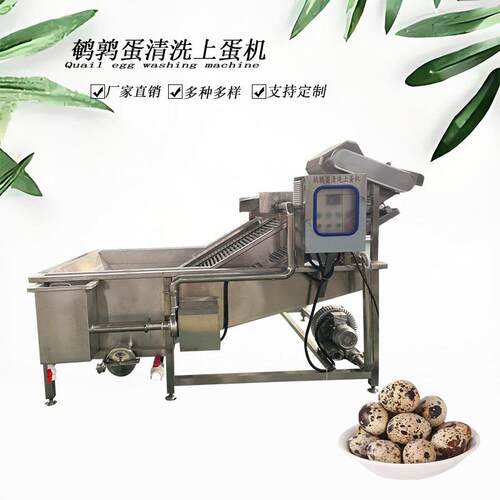 扁豆豆角气泡清洗机304不锈钢材质网带输送变频可调果蔬清洗机