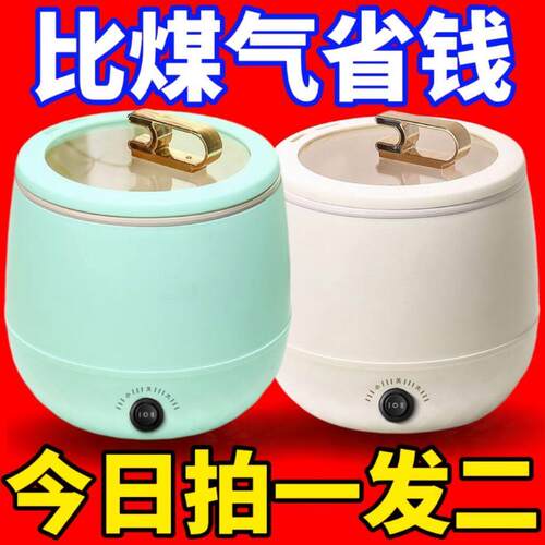 德国迷你电子锅家用智能电饭锅多功能全自动学生宿舍电煮不沾锅