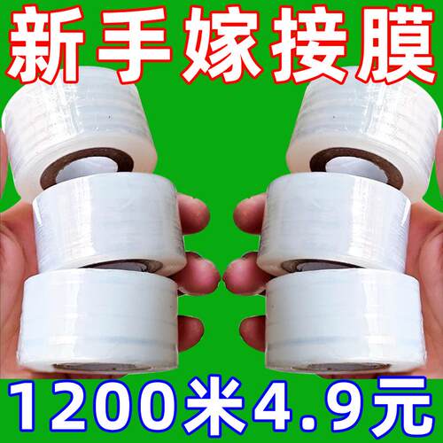 新料嫁接专用膜PE无需打结薄膜自粘式园林果树嫁接树干保温嫁接膜