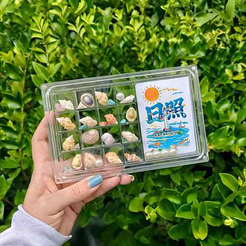亚克力透明贝壳收纳盒创意海边石头标本收藏磁吸大号展示盒带相框