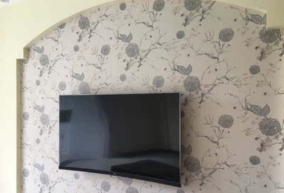 选前对比TCL55T3对比海信55E52D区别是？哪个好用？