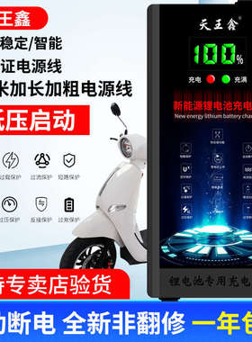 电动车锂电池电瓶充电器48V2A60V72V3A三元小刀专用公插插口快充